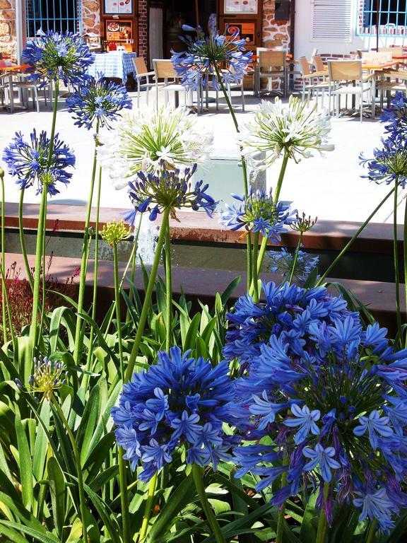 Hostal Rey Santa Eularia des Riu Zewnętrze zdjęcie